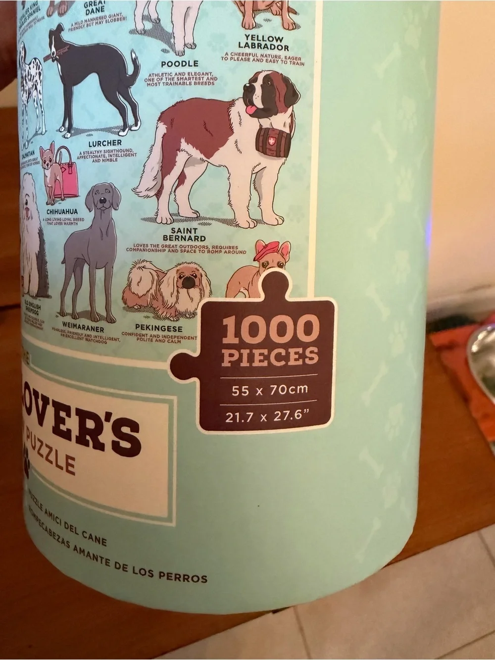 Ridley’s colorful dog